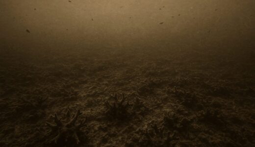 【未解決】黒化した紅の礁帯